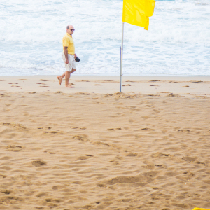 13-THE-YELLOW-BOX20170809-COL-DE-BURGOA